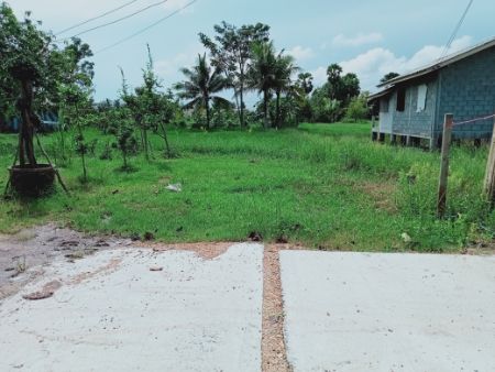 ขาย ที่ดิน ขายที่ดิน เปล่า ติดถนนสาธารณะ บรรยากาศดี ใกล้หมู่บ้านบุญนำทรัพย์ใกล้ถนน 4 เลน อ.หัวไทร 1 ไร่ 10 ตร.วา รูปที่ 1