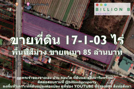 ขาย ที่ดิน ที่ดิน เนื้อที่ 17-1-03 ไร่       17 ไร่ 1 งาน 03 ตร.วา รูปที่ 1