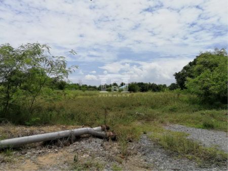 ขาย ที่ดิน รหัส 40193 เซ็นทรัลศาลายา 14 ไร่ ถมแล้วบางส่วน รูปที่ 5