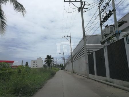 ขาย ที่ดิน รหัส 40193 เซ็นทรัลศาลายา 14 ไร่ ถมแล้วบางส่วน รูปที่ 6