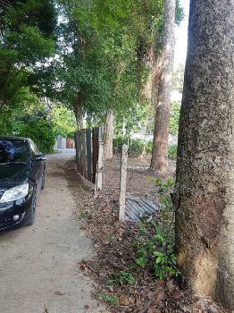 ขาย ที่ดิน 2แปลง ติดแม่น้ำป่าสักต.บ้านยาง อ.เสาไห้ สระบุรี 1 ไร่ 2 งาน 60 ตร.วา แยกขายได้ ทำเลดี วิวแม่น้ำ รูปที่ 4