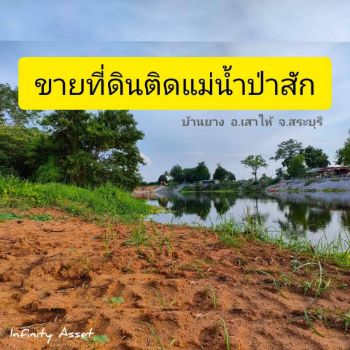 ขาย ที่ดิน 2แปลง ติดแม่น้ำป่าสักต.บ้านยาง อ.เสาไห้ สระบุรี 1 ไร่ 2 งาน 60 ตร.วา แยกขายได้ ทำเลดี วิวแม่น้ำ รูปที่ 2