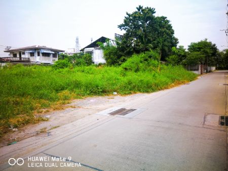 ขาย ที่ดิน  273 ตร.วา ใกล้สถานีรถไฟฟ้าสายสีแดงตลิ่งชัน  ทางด่วนศรีรัช ฯ รูปที่ 11