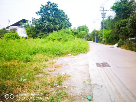 ขาย ที่ดิน  273 ตร.วา ใกล้สถานีรถไฟฟ้าสายสีแดงตลิ่งชัน  ทางด่วนศรีรัช ฯ รูปที่ 10