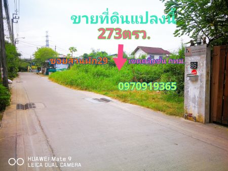 ขาย ที่ดิน  273 ตร.วา ใกล้สถานีรถไฟฟ้าสายสีแดงตลิ่งชัน  ทางด่วนศรีรัช ฯ รูปที่ 2