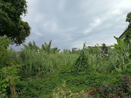 ขาย ที่ดิน  รหัส38095 ซอยรวมญาติ ถนนสุขุมวิท 1 ไร่ 44 ตร.วา ติดถนน2ด้าน รูปที่ 3