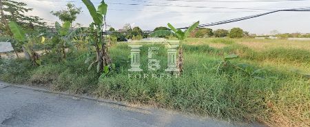 ขาย ที่ดิน  รหัส 40985สุขาภิบาล 5 วัชรพล 3 ไร่ 2 งาน 11.5 ตร.วา เหมาะทำจัดสรร ทำทาวน์โฮม รูปที่ 3
