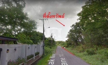 ขาย ที่ดิน  รหัส 41140 ลาดพร้าว 71 นาคนิวาส 48 242 ตร.วา ที่สวย เหมาะสำหรับปลูกบ้าน รูปที่ 2