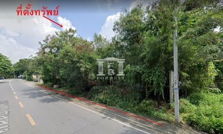 ขาย ที่ดิน รหัส 41147บางพรม 27 พุทธมณฑล สาย 4 เนื้อที่ 456 ตร.วา ติดถนน2ด้าน รูปที่ 4