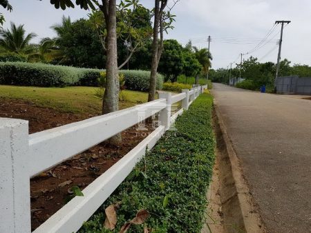 ขาย บ้านเดี่ยว รหัส 90206เขาใหญ่ ปากช่อง เนื้อที่ 1200 ตรม. 3 ไร่ 21 ตร.วา ที่สวยมาก อากาศดีสุดๆ รูปที่ 5