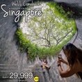 CELEBRATE NY 2022  SINGAPORE (SQ)  4 วัน 3 คืน