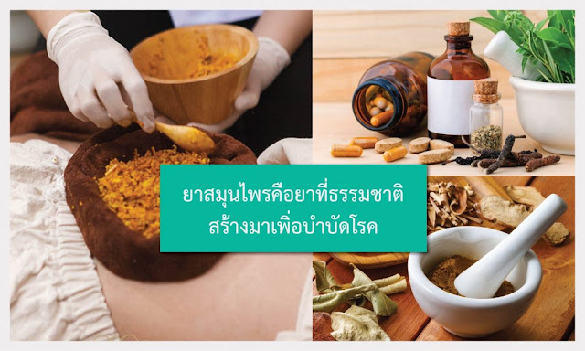 โรคหนังศีรษะ,เรื้อนศรีษะ,โรคผมหลุดร่วง,ชันนะตุ,หนังติดเชื้อรา รูปที่ 5