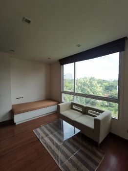 ให้เช่า คอนโด ทรี คอนโด สุขุมวิท 42 (Tree Condo Sukhumvit 42) ใกล้รถไฟฟ้า BTS พระโขนง รูปที่ 3