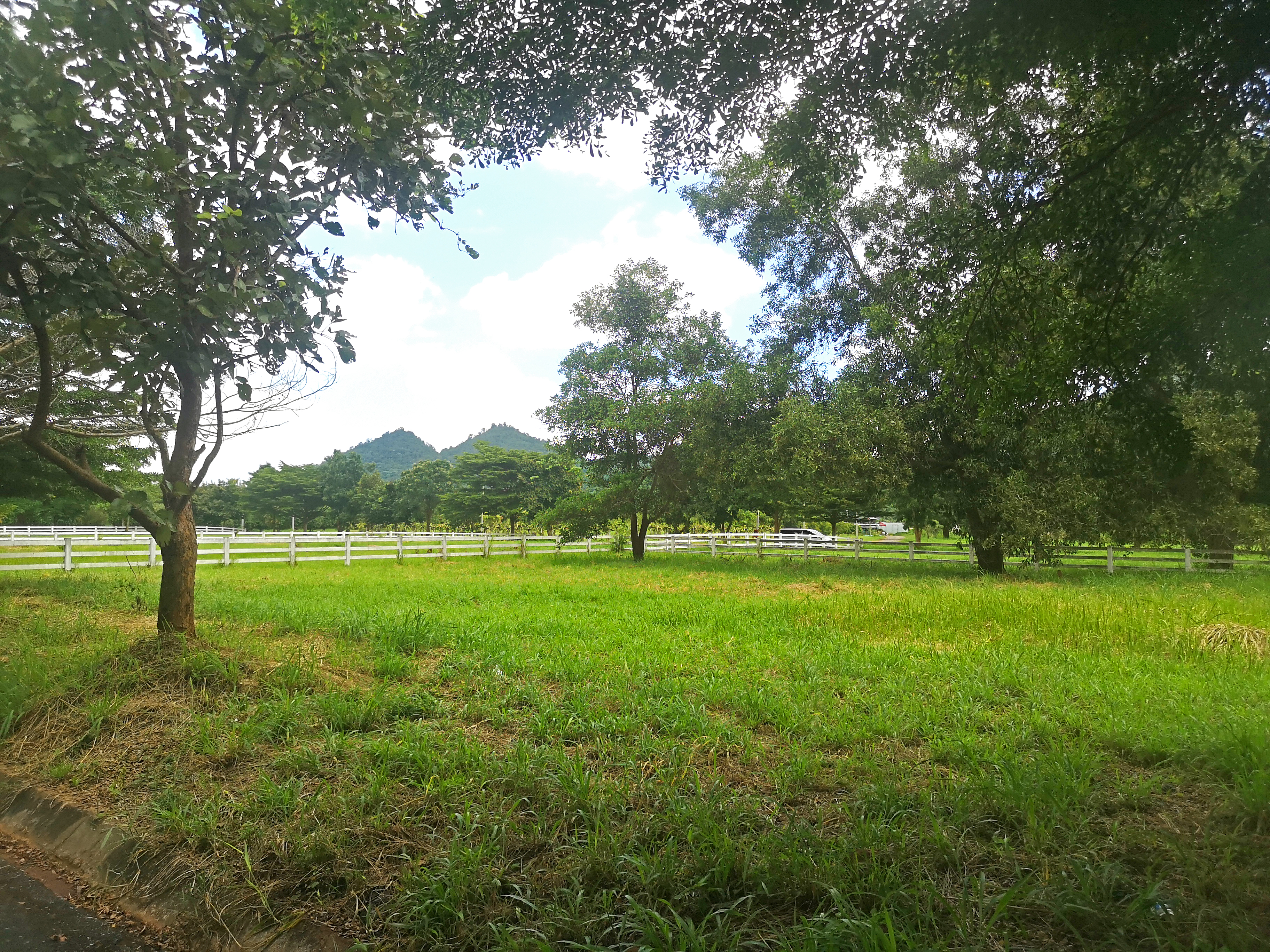ขายที่ดิน Thongsathit Hill Khaoyai ที่ดินบนเนินเขา แปลงเลขที่ T416 รูปที่ 1