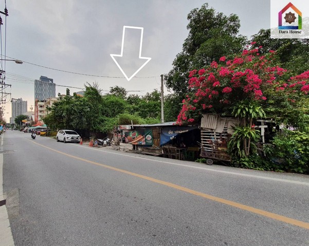 ขายที่ดิน สุขุมวิท 81 ขนาด 315 ตร.ว เหมาะกับการสร้างอพาร์ทเม้น ใกล้ BTS อ่อนนุช รูปที่ 1