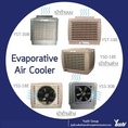 YUSHI พัดลมอีแวป หรือ เครื่องทำลมเย็น (Evaporative Air Cooler)  พร้อมบริการติดตั้ง 