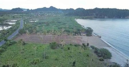 ขาย ที่ดิน ติดทะเลกุยบุรีกุยบุรี 1 ไร่ ติดถนนเส้นหลัก ทางเข้าออกสะดวกสบาย รูปที่ 5