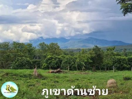 ขาย ที่ดิน เป็นเนินสูงเห็นวิว​ภูเขา​ทุกแปลงเชียงใหม่ 100 ตร.วา ห่างจากตัวเมือง​ 38 นาที ใกล้แหล่ง​ท่องเที่ยวมากหมาย​ รูปที่ 6