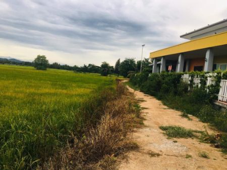 ขาย ที่ดิน ชะอำ 4 ไร่ ห่างจากถนนเพชรเกษมประมาณ 100 เมตรและใกล้ตัวเมืองเพชรบุรี รูปที่ 5