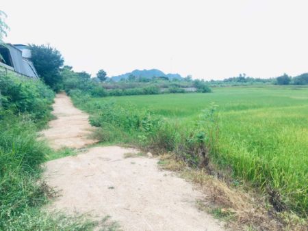 ขาย ที่ดิน ชะอำ 4 ไร่ ห่างจากถนนเพชรเกษมประมาณ 100 เมตรและใกล้ตัวเมืองเพชรบุรี รูปที่ 2
