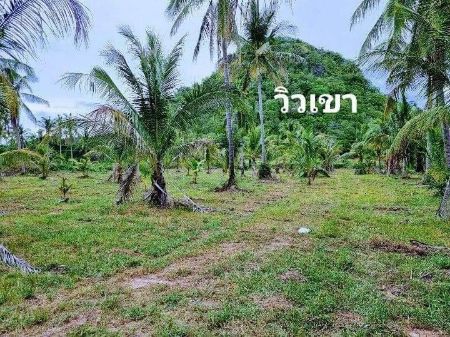 ขาย ที่ดิน นส 4จ. โฉนดครุฑแดง วิวทะเลหาดบ้านกรูด 200 ตร.วา ติดถนน​เส้นหลักเลียบชายทะเล ห่างหน้าหาด300​-400เมตร รูปที่ 4