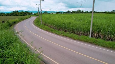 ขาย ที่ดิน วิวสวย โฉนดครุฑแดง เขาใหญ่ 1 ไร่ อากาศดี เขตโอโซน แหล่งท่องเที่ยว รูปที่ 5
