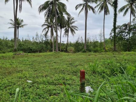 ขาย ที่ดิน บางสะพาน โฉนดครุฑแดง บางสะพาน 137 ตร.วา ใกล้​เเ​หล่งท่องเท​ี่ยว สามารถเดินลงหาดสวยน้ำทะเลใสเป็นส่วนตัว รูปที่ 4