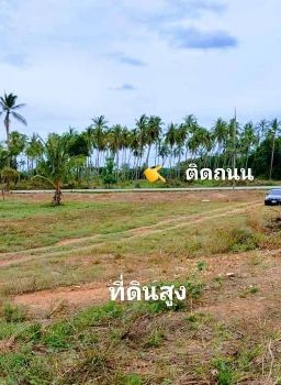 ขาย ที่ดิน นส 4จ. โฉนดครุฑแดง วิวทะเลหาดบ้านกรูด 200 ตร.วา ติดถนน​เส้นหลักเลียบชายทะเล ห่างหน้าหาด300​-400เมตร รูปที่ 5