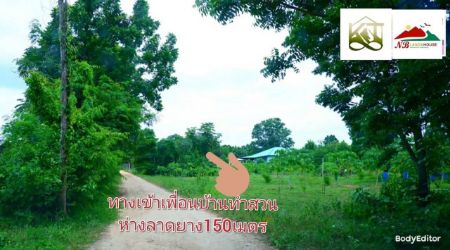 ขาย ที่ดิน โฉนด ครุฑแดง นส.4 จชะอำ 200 ตร.วา ห่างทะเล แค่ 8 กม.
ไปหัวหินก็แต่15นาที รูปที่ 4