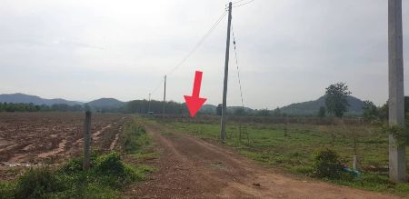 ขาย ที่ดิน ด่านช้าง 2 ไร่ รูปที่ 4