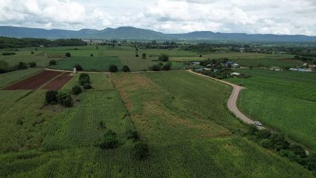 ขาย ที่ดิน วิวสวย โฉนดครุฑแดง เขาใหญ่ 1 ไร่ อากาศดี เขตโอโซน แหล่งท่องเที่ยว รูปที่ 6