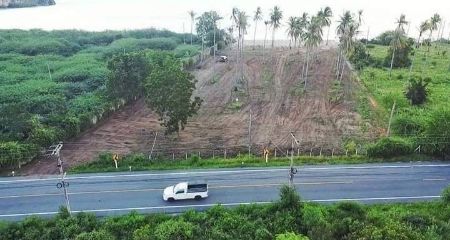 ขาย ที่ดิน ติดทะเลกุยบุรีกุยบุรี 1 ไร่ ติดถนนเส้นหลัก ทางเข้าออกสะดวกสบาย รูปที่ 2