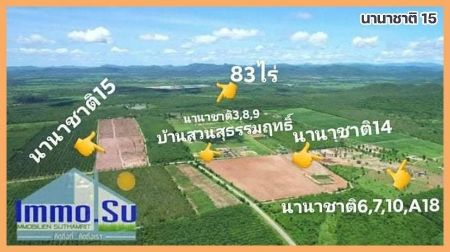 ขาย ที่ดิน มีน้ำ-ไฟพร้อมที่ทุกแปลง ถนนอัดบดนานาชาติ 15 1 ไร่ ที่ดินแบ่งหน้าสวย เหมาะทำบ้านสวน ทำร้านค้า 
ตึกพาณิชย์ บ้านจัดสรรค์ รูปที่ 4