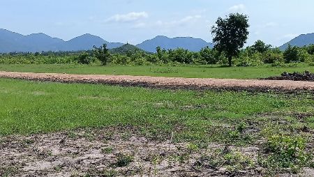 ขาย ที่ดิน วิวภูเขา ธรรมชาติโอบล้อม ทะเลสามพระยา 1 ไร่ ใกล้แหล่งท่องเที่ยวมากมาย นำ้ไฟฟ้าพร้อมถึงที่ทุกแปลง รูปที่ 6