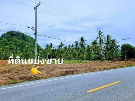 ขาย ที่ดิน นส 4จ. โฉนดครุฑแดง วิวทะเลหาดบ้านกรูด 200 ตร.วา ติดถนน​เส้นหลักเลียบชายทะเล ห่างหน้าหาด300​-400เมตร รูปที่ 3