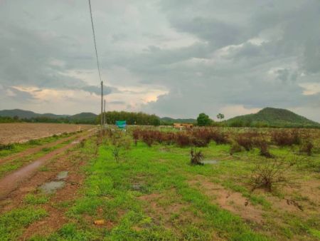 ขาย ที่ดิน ด่านช้าง 2 ไร่ รูปที่ 6