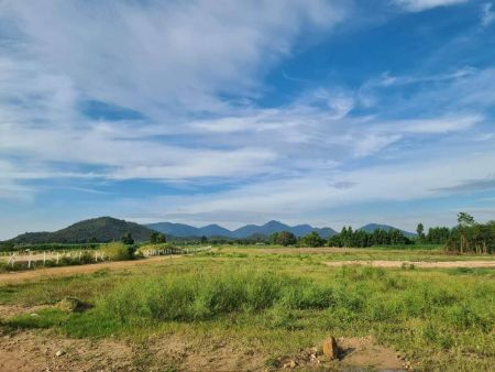 ขาย ที่ดิน แปลงแบ่งย่อย 100 ตรว. เขตชะอำ 100 ตร.วา ใกล้เพชรเกษมขาออก ห่างหัวหิน 14นาที รูปที่ 5