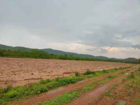 ขาย ที่ดิน ด่านช้าง 2 ไร่ รูปที่ 3
