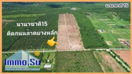 ขาย ที่ดิน มีน้ำ-ไฟพร้อมที่ทุกแปลง ถนนอัดบดนานาชาติ 15 1 ไร่ ที่ดินแบ่งหน้าสวย เหมาะทำบ้านสวน ทำร้านค้า 
ตึกพาณิชย์ บ้านจัดสรรค์ รูปที่ 3