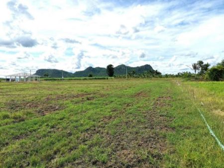 ขาย ที่ดิน ขายต่ำกว่าราคาโครงการที่ดิน ท่าม่วง 1 ไร่ 3 งาน 90 ตร.วา วิวภูเขาสวย และวิวสวนปาล์ม รูปที่ 3