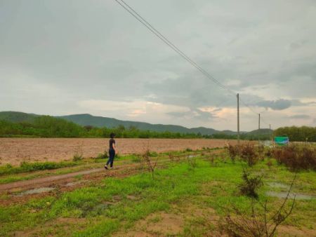 ขาย ที่ดิน ด่านช้าง 2 ไร่ รูปที่ 2