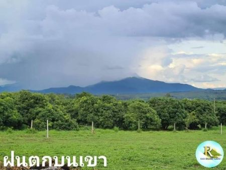 ขาย ที่ดิน เป็นเนินสูงเห็นวิว​ภูเขา​ทุกแปลงเชียงใหม่ 100 ตร.วา ห่างจากตัวเมือง​ 38 นาที ใกล้แหล่ง​ท่องเที่ยวมากหมาย​ รูปที่ 3