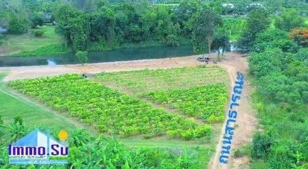 ขาย ที่ดิน ที่ดินไม่ต้องถม สร้างบ้านได้เลยแปลงแม่น้ำเพชร 100 ตร.วา เหมาะเป็นสถานที่พักผ่อน หรือบ้านพักตากอากาศ รูปที่ 2