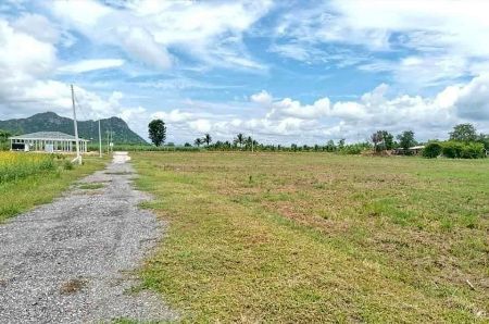 ขาย ที่ดิน ขายต่ำกว่าราคาโครงการที่ดิน ท่าม่วง 1 ไร่ 3 งาน 90 ตร.วา วิวภูเขาสวย และวิวสวนปาล์ม รูปที่ 2