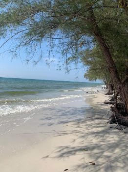 ขาย ที่ดิน ติดทะเลคลองใหญ่ 220 ตร.วา หาดทรายขาว เดินลงหาดจากหน้าบ้านได้เลย รูปที่ 9