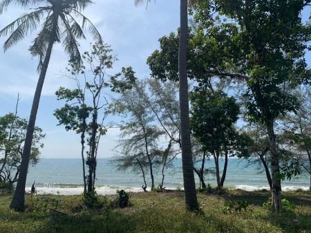 ขาย ที่ดิน ติดทะเลคลองใหญ่ 220 ตร.วา หาดทรายขาว เดินลงหาดจากหน้าบ้านได้เลย รูปที่ 7