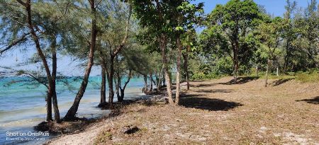 ขาย ที่ดิน ติดทะเลคลองใหญ่ 220 ตร.วา หาดทรายขาว เดินลงหาดจากหน้าบ้านได้เลย รูปที่ 3