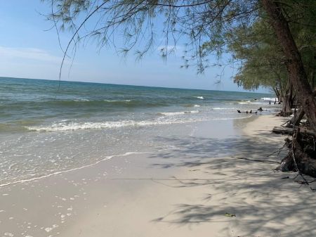 ขาย ที่ดิน ติดทะเลคลองใหญ่ 220 ตร.วา หาดทรายขาว เดินลงหาดจากหน้าบ้านได้เลย รูปที่ 10
