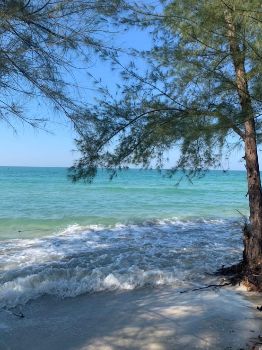 ขาย ที่ดิน ติดทะเลคลองใหญ่ 220 ตร.วา หาดทรายขาว เดินลงหาดจากหน้าบ้านได้เลย รูปที่ 5
