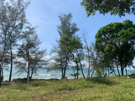 ขาย ที่ดิน ติดทะเลคลองใหญ่ 220 ตร.วา หาดทรายขาว เดินลงหาดจากหน้าบ้านได้เลย รูปที่ 8